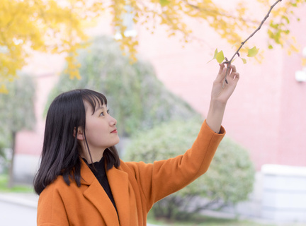 菲律宾大学国内认可度多少